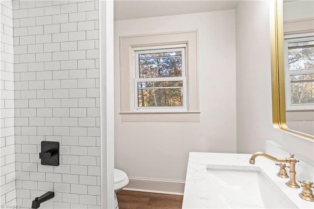 bathroom with a healthy amount of sunlight, vanity, wood-type flooring, and toilet