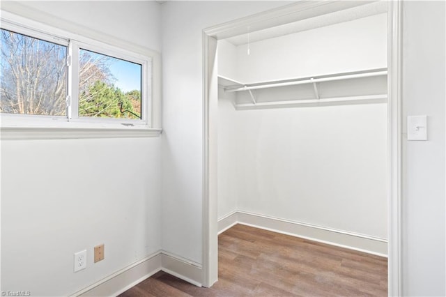 walk in closet featuring wood-type flooring