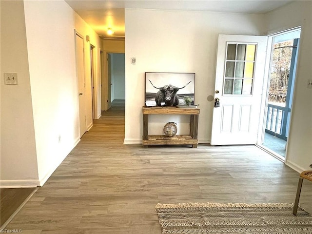 entryway with hardwood / wood-style floors