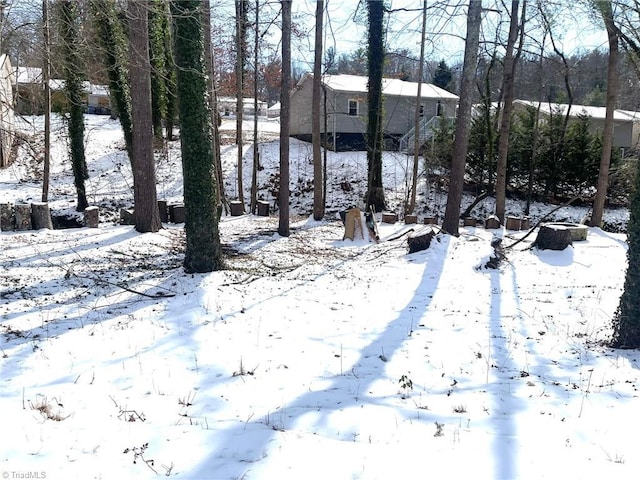 view of yard layered in snow