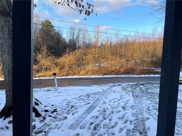 view of snowy yard