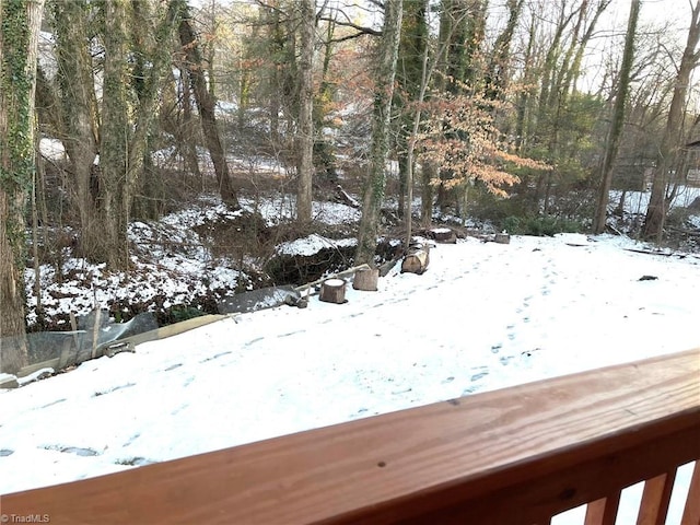 view of yard covered in snow