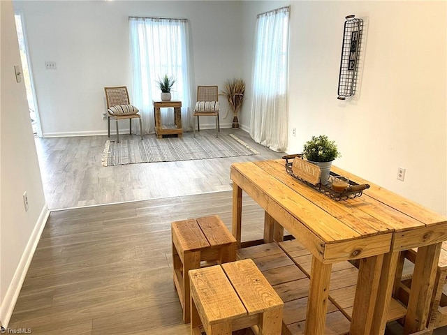 living area with dark hardwood / wood-style flooring