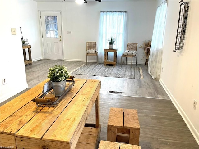 living area featuring hardwood / wood-style floors and ceiling fan