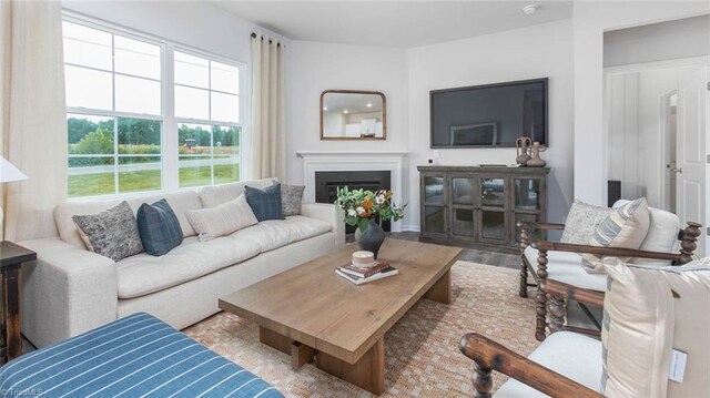 living room with a fireplace and wood finished floors