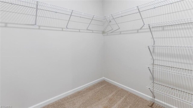 spacious closet with carpet floors