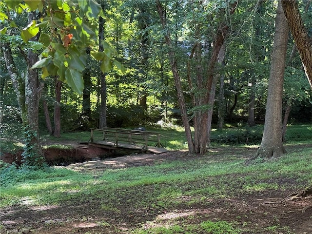 1608 Fox Hollow Rd, Greensboro, NC 27410 - view of yard