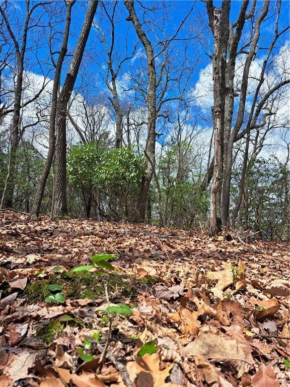 TBD Mountain View Drive, Lowgap NC, 27024 land for sale