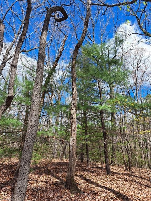 Listing photo 2 for TBD Mountain View Drive, Lowgap NC 27024