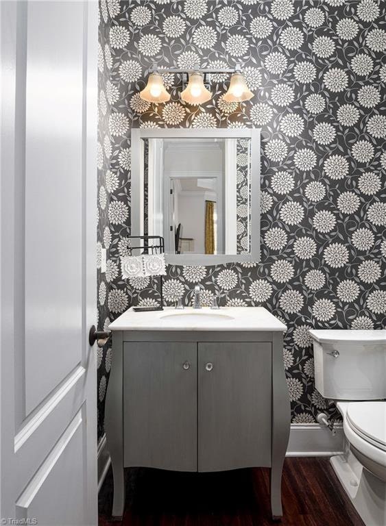 bathroom with vanity, wood-type flooring, and toilet