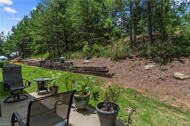 211 Hawks Nest Cir, Clemmons, NC 27012 - view of patio / terrace