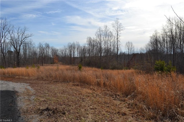 Listing photo 2 for 80ACRES Bobby Nelson Rd, Sandy Ridge NC 27046