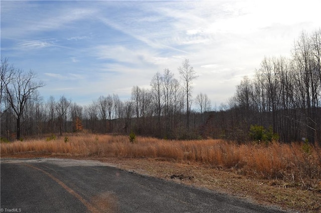 Listing photo 3 for 80ACRES Bobby Nelson Rd, Sandy Ridge NC 27046