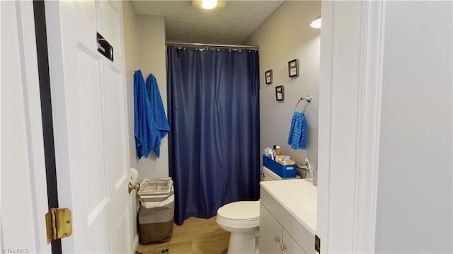 bathroom featuring toilet, vanity, and wood-type flooring