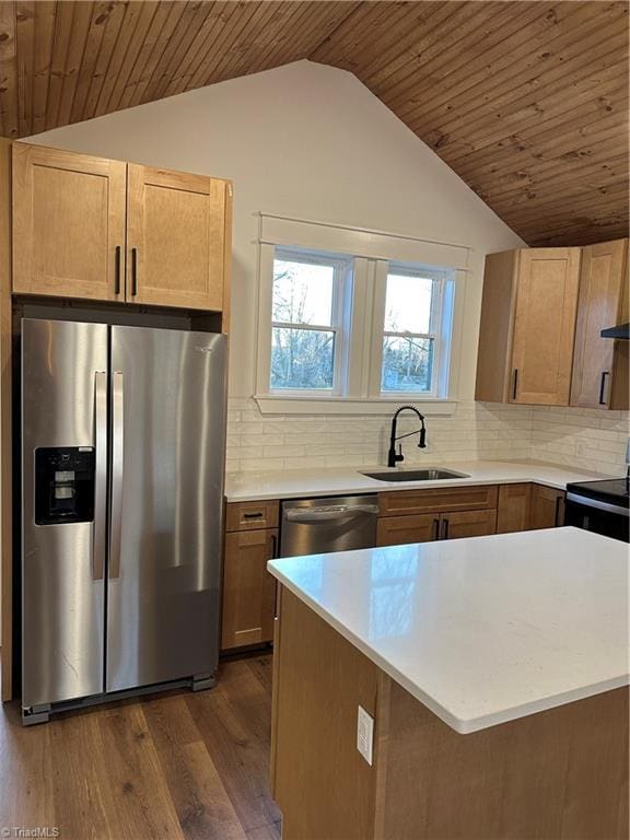 kitchen featuring appliances with stainless steel finishes, lofted ceiling, dark wood-type flooring, and a sink