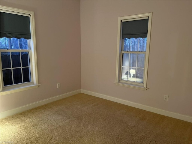 unfurnished room with carpet flooring