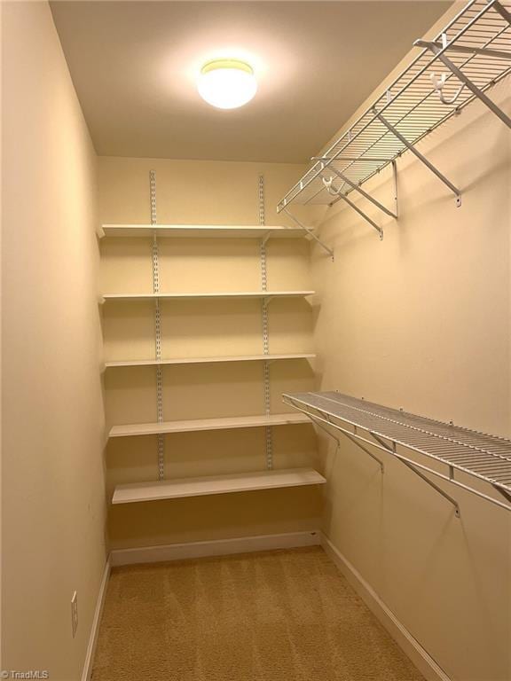 walk in closet featuring light carpet