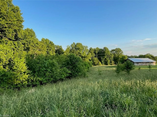 view of local wilderness