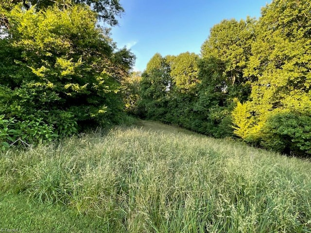 view of landscape with a view of trees
