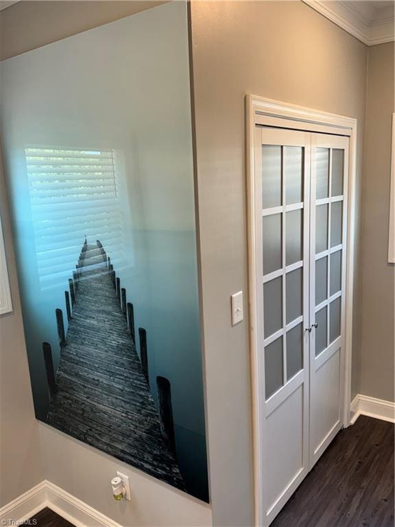 hall featuring ornamental molding and dark wood-type flooring