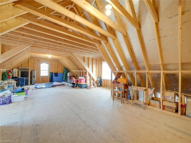 view of unfinished attic