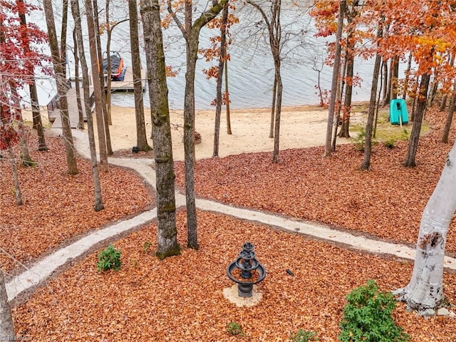 view of yard with a water view