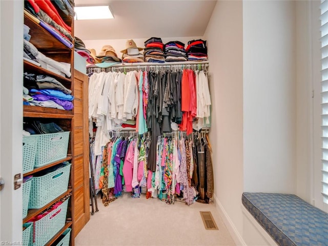 spacious closet featuring carpet