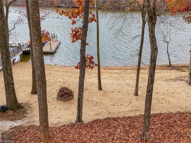 water view featuring a boat dock