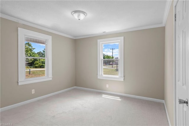 spare room featuring light carpet and crown molding