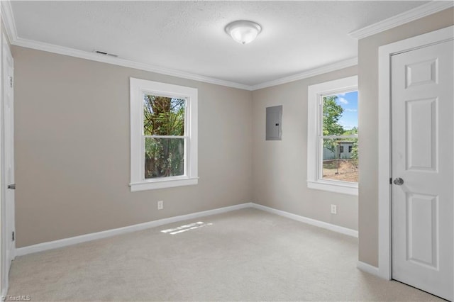 carpeted spare room with crown molding, electric panel, and a wealth of natural light