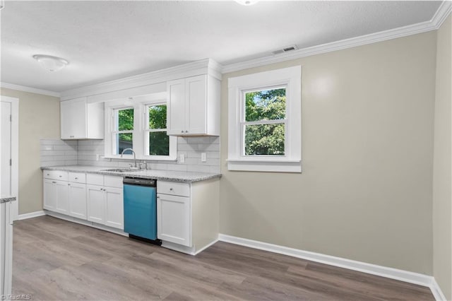 kitchen featuring tasteful backsplash, sink, stainless steel dishwasher, and white cabinets