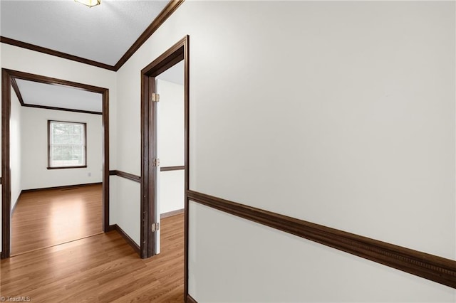 hallway featuring light hardwood / wood-style floors and crown molding