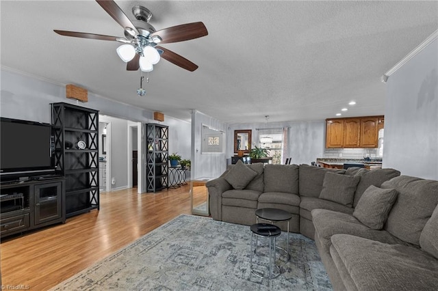 living room featuring ceiling fan, light hardwood / wood-style floors, a textured ceiling, and ornamental molding