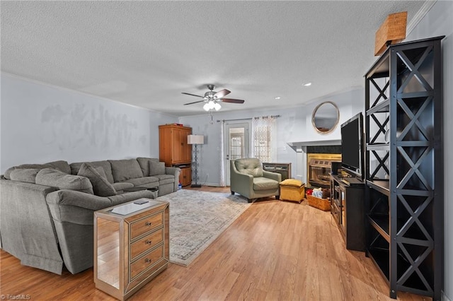 living room featuring ceiling fan, crown molding, light wood-type flooring, and a textured ceiling