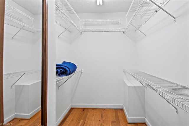 walk in closet with light wood finished floors