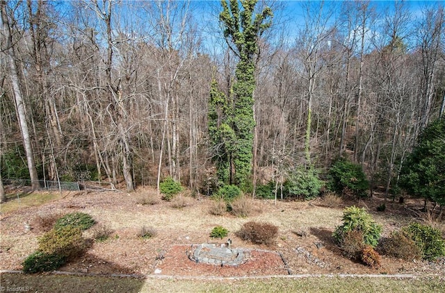 view of yard with a wooded view