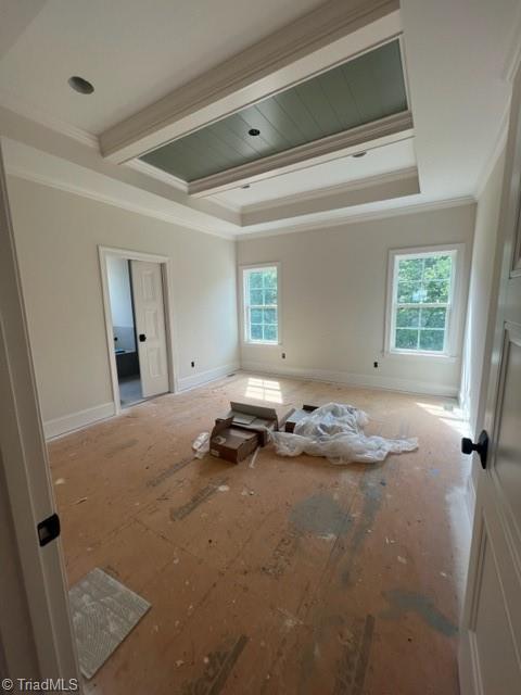 184 Providence Trl, Madison, NC 27025 - unfurnished room with baseboards, ornamental molding, and a tray ceiling