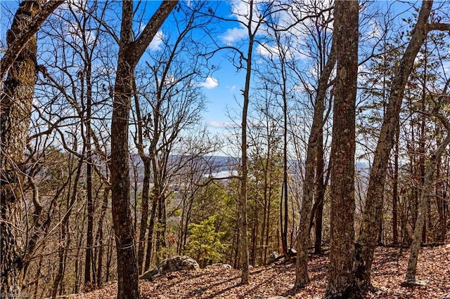 1026 Sierra Trace Rd, Denton NC, 27239 land for sale