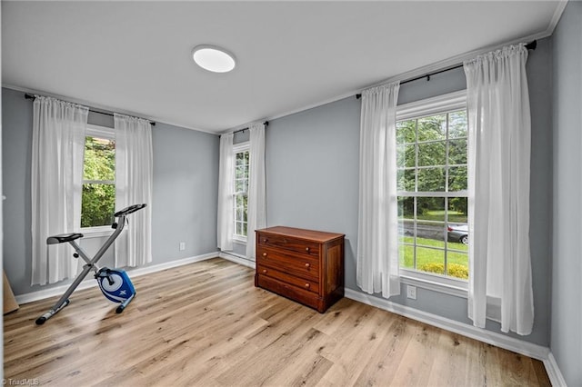 workout area with light wood-type flooring, healthy amount of natural light, and baseboards