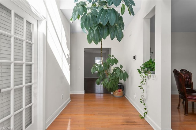 entryway with light hardwood / wood-style flooring