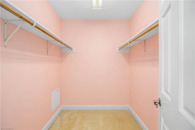 spacious closet with carpet