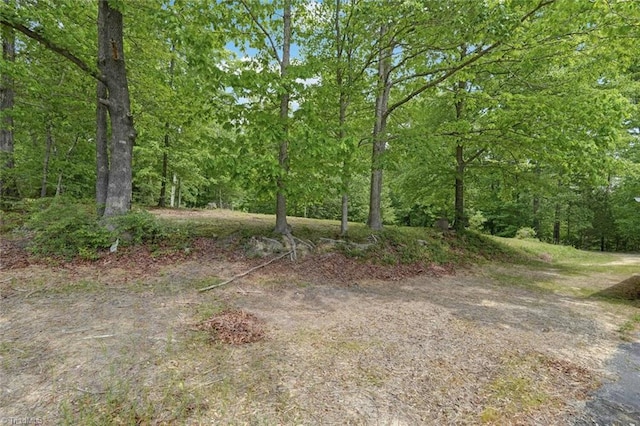 2892 NC Highway 700, Pelham, NC 27311 - view of local wilderness featuring a view of trees