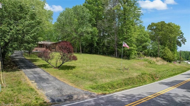 2892 NC Highway 700, Pelham, NC 27311 - view of yard