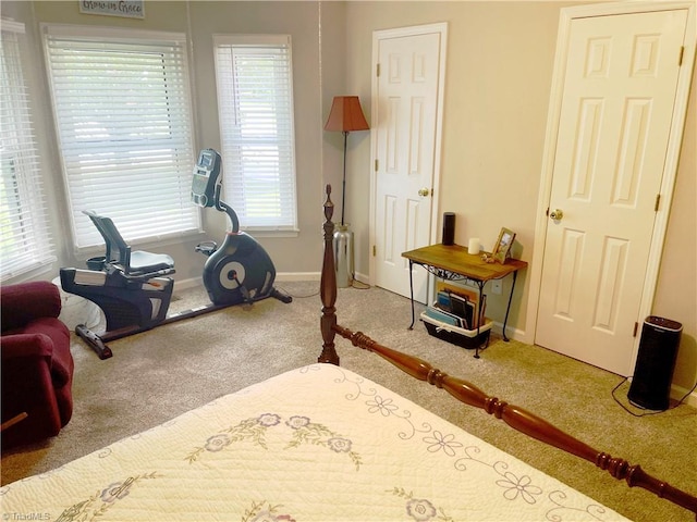 940 Huntington Run Ln, Kernersville, NC 27284 - exercise area featuring carpet flooring and baseboards