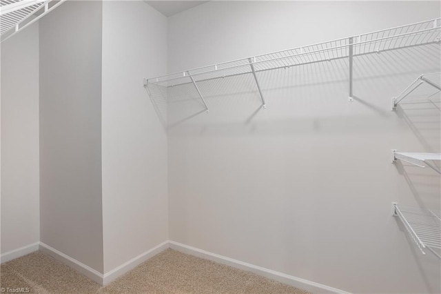 walk in closet with carpet