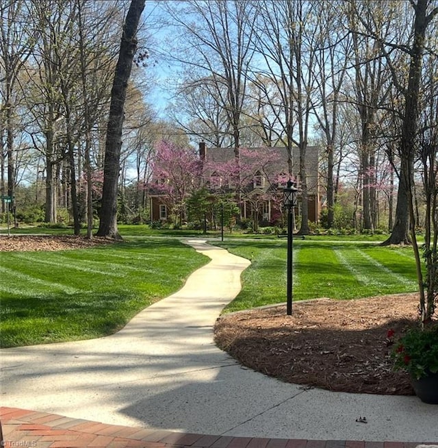 surrounding community featuring a yard