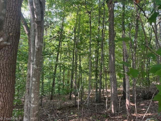 Listing photo 3 for LOT37 Fox Ridge Rd, Asheboro NC 27205