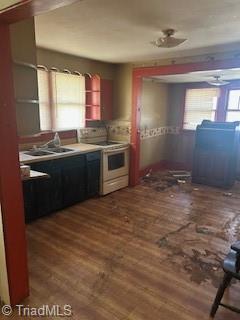 kitchen featuring sink, electric range, and dark wood-type flooring