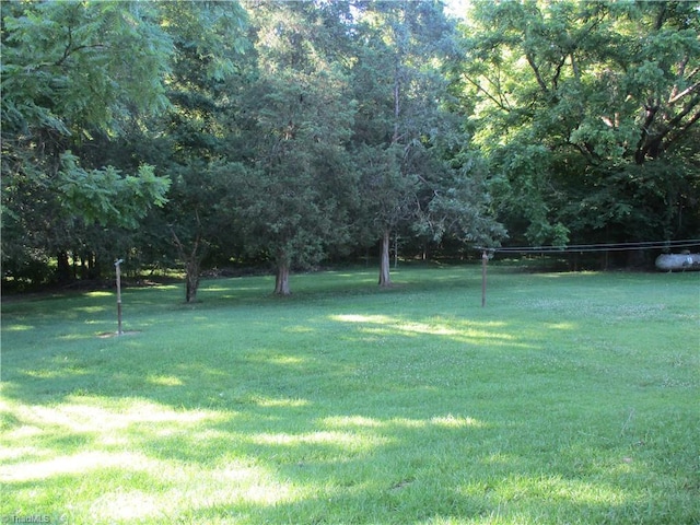 2600 Alamance Church Rd, Greensboro, NC 27406 - view of grassy yard