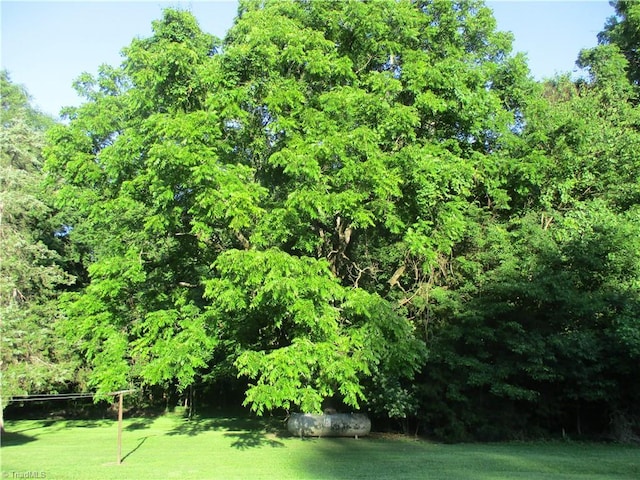 2600 Alamance Church Rd, Greensboro, NC 27406 - view of grassy yard